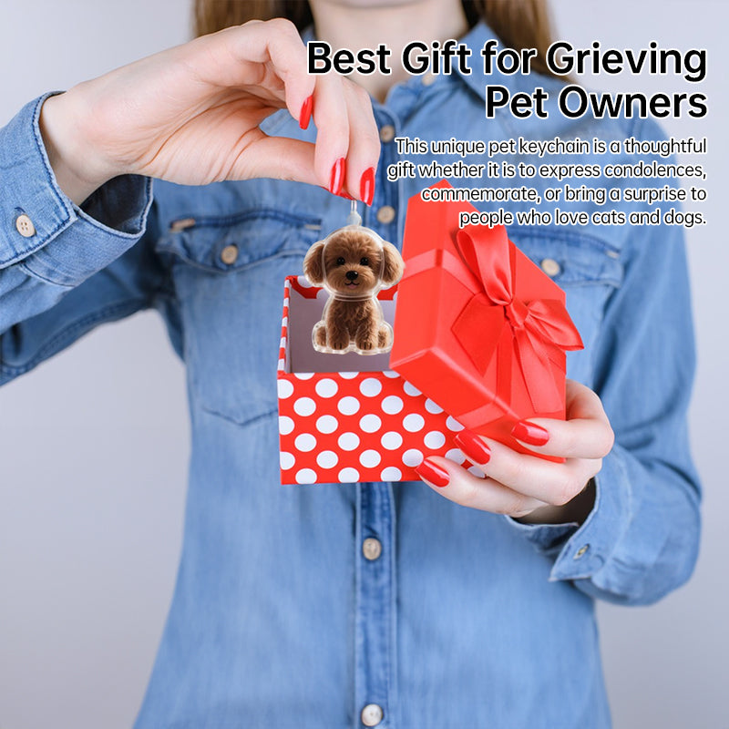 A transparent DIY pet hair memorial keychain box, a sweet keepsake for dog lovers.